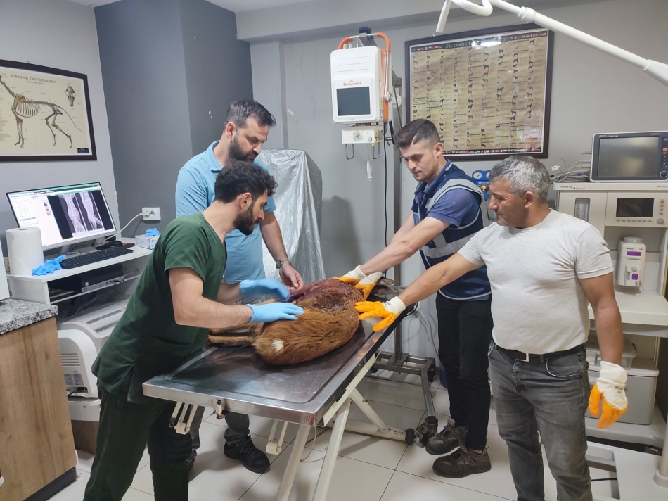 2023/09/1694434872_thumbnail_yarali_karaca_tedavIsI_yapildiktan_sonra_koruma_altina_alindi_-1.jpg
