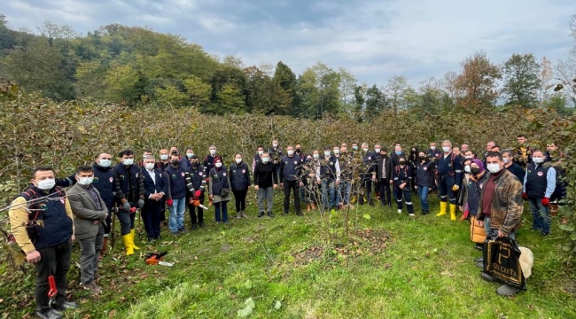 ORDU VALİSİ SONEL, FINDIKTA ÖRNEK BUDAMA UYGULAMASI ÇALIŞMALARINI YERİNDE İNCELEDİ