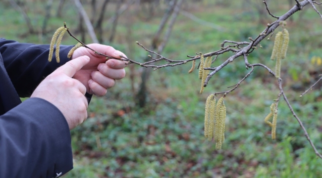 FİSKOBİRLİK: "TARIM SİGORTASI YAPTIRIN GELİR KAYBI YAŞAMAYIN"