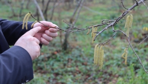 FİSKOBİRLİK: "TARIM SİGORTASI YAPTIRIN GELİR KAYBI YAŞAMAYIN"