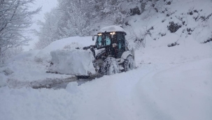 ORDU'DA KAR YAĞIŞI ŞİDDETİNİ ARTIRDI