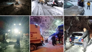 ÜNYE BELEDİYESİ EKİPLERİ SAHADA