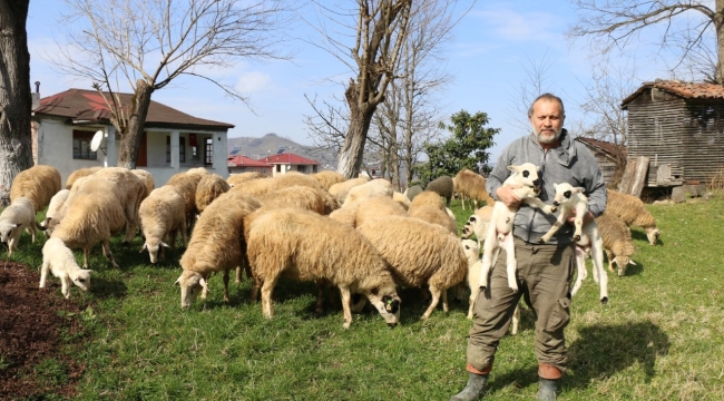 BAŞKAN GÜLER'İN PROJESİ 2.5 YILDA 5'E KATLADI