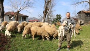 BAŞKAN GÜLER'İN PROJESİ 2.5 YILDA 5'E KATLADI