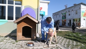 HAYVAN HASTANESİNİN "UMUT"U OLDU