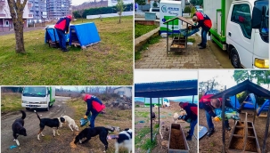 SOKAK CANLARI UNUTULMUYOR
