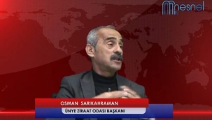 BAŞKAN SARIKAHRAMAN: "FINDIĞIN TABAN FİYATI 50 TL OLMALI"