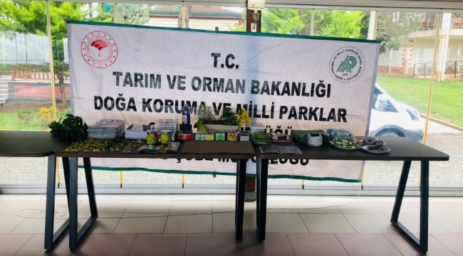 ÇINAR SUYU TABİAT PARKI MİNİK ÖĞRENCİLERİ AĞIRLADI