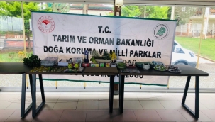 ÇINAR SUYU TABİAT PARKI MİNİK ÖĞRENCİLERİ AĞIRLADI