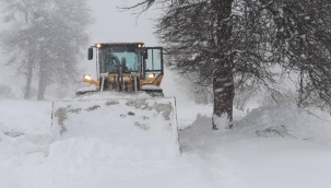 ORDU'DA KAR ETKİSİNİ GÖSTERDİ