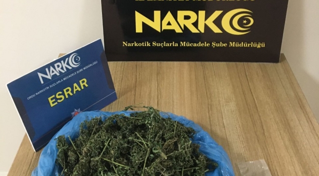 ÜNYE'DE NARKOTİK OPERASYON!