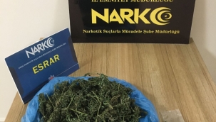 ÜNYE'DE NARKOTİK OPERASYON!