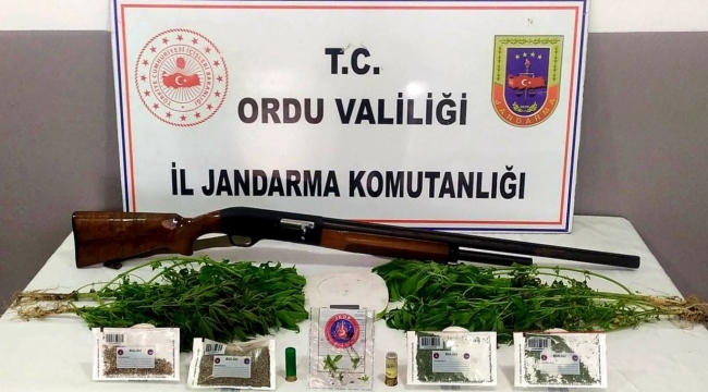 ÜNYE'DE UYUŞTURUCU MADDE OPERASYONU!