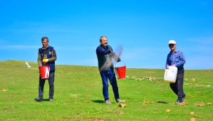 Akkuş'ta Meralarda Islah Çalışmaları Sürüyor