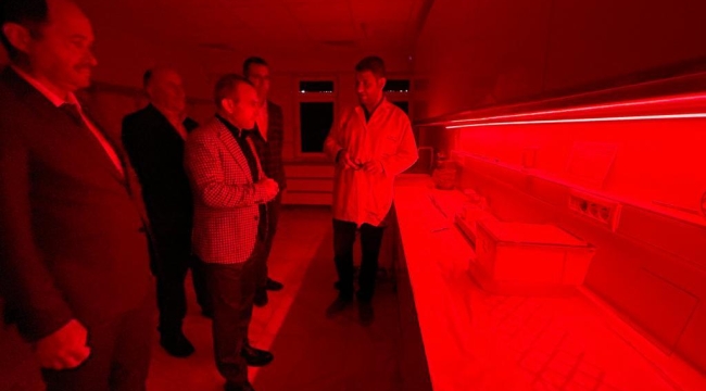 Bombus Arısı, Ordu'da Üretiliyor