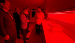 Bombus Arısı, Ordu'da Üretiliyor