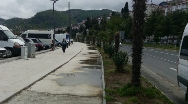 EMEP, "PERŞEMBE İLÇEMİZE PALMİYE YAKIŞMIYOR"