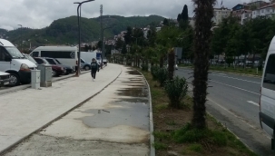 EMEP, "PERŞEMBE İLÇEMİZE PALMİYE YAKIŞMIYOR"