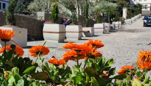 KADILAR YOKUŞUNA BAHAR GELDİ