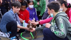 SOKAK HAYVANLARI GÜNÜ UNUTULMADI