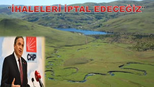 CHP'Lİ TORUN'DAN MADEN İSYANI: "SİZ DOĞA KATİLİSİNİZ"