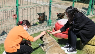 ÖĞRENCİLER CAN DOSTLARLA KEYİFLİ VAKİT GEÇİRDİ