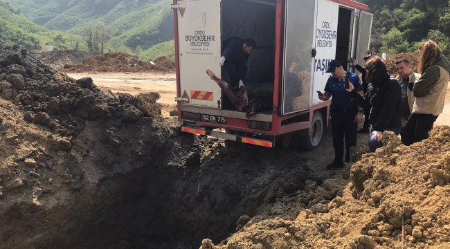 ORDU'DA 2 TON KAÇAK VE SAHTE MÜHÜRLÜ ET İMHA EDİLDİ