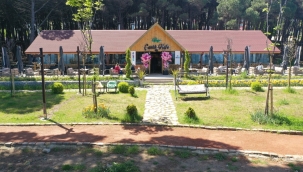 ÜNYE ÇAMLIK KAFE HİZMETE AÇILDI