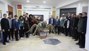 Vali Sonel, "Dünya Arı Günü" Dolayısıyla Düzenlenen Etkinliğe Katıldı