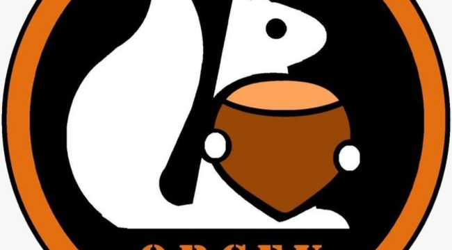 699 MADEN İHALESİNİN İPTALİ İÇİN DAVA!