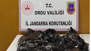 ÇALDIKLARI KABLOYLA YAKALANDILAR