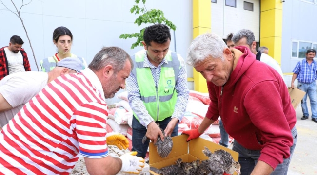 ÇİFTÇİLERE 750 ADET HİNDİ PALAZI DAĞITILDI