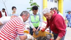 ÇİFTÇİLERE 750 ADET HİNDİ PALAZI DAĞITILDI