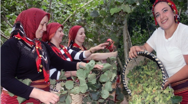 "FINDIK DALDA, AKLIN İŞÇİDE KALMASIN" PROJESİNDE BAŞVURULAR BAŞLIYOR