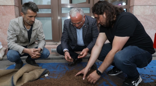 FINDIK KAPSÜLÜ SAMANDAN DAHA VERİMLİ ÇIKTI