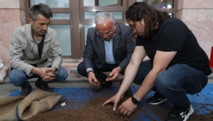 FINDIK KAPSÜLÜNDEN YEM ÜRETİLDİ