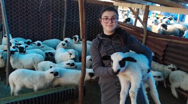 ORDU, HAYVANCILIKLA İDDİALI BİR HALE GELİYOR
