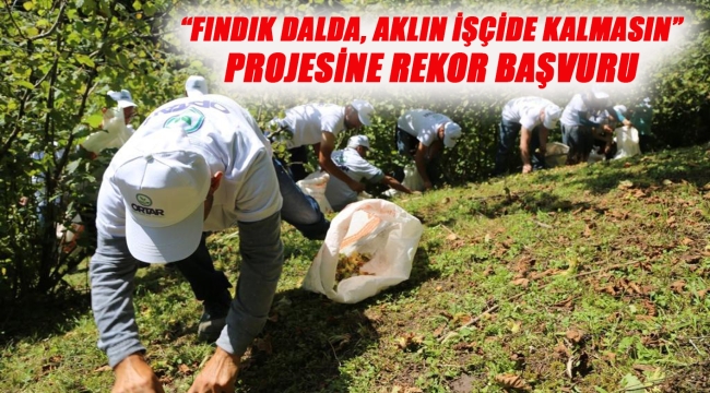 BAŞKAN GÜLER: "FINDIK ÜRETİCİSİNİ VE İŞÇİYİ KORUYAN BİR SİSTEM OLUŞTURDUK"