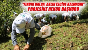 BAŞKAN GÜLER: "FINDIK ÜRETİCİSİNİ VE İŞÇİYİ KORUYAN BİR SİSTEM OLUŞTURDUK"