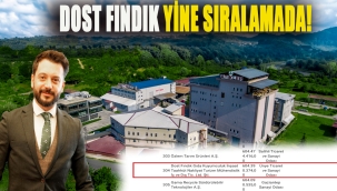 DOST FINDIK YİNE SIRALAMADA!