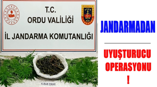 EKİPLERİN UYUŞTURUCU MÜCADELESİ DEVAM EDİYOR