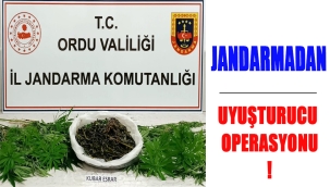 EKİPLERİN UYUŞTURUCU MÜCADELESİ DEVAM EDİYOR