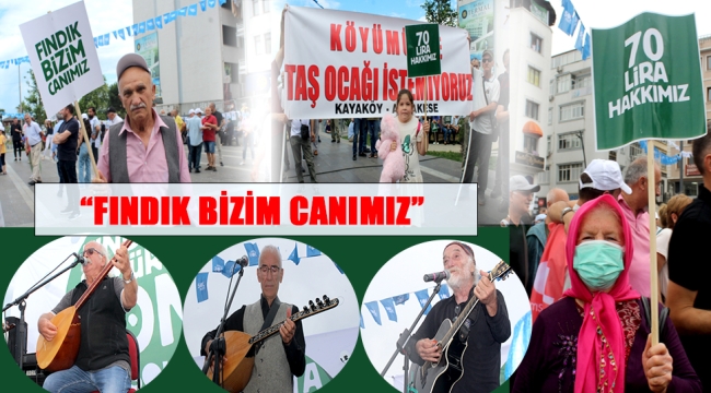 "FINDIKTA SÖMÜRÜYE SON! TABAN FİYAT 70 LİRA OLSUN!"