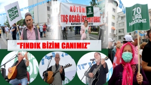 "FINDIKTA SÖMÜRÜYE SON! TABAN FİYAT 70 LİRA OLSUN!"
