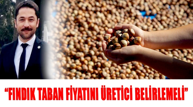 İYİ PARTİ ORDU İL BAŞKANLIĞI'NDAN, "FINDIK TABAN FİYATINI ÜRETİCİ BELİRLEMELİ"