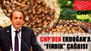 "ORDU'DA KÜRSÜDEN MASALLAR ANLATIP SARAYINIZA DÖNMEYİN"