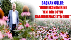 ORDU, TIBBİ VE AROMATİK BİTKİ ÜRETİMİNE GÖZ KIRPIYOR