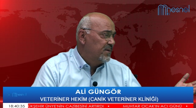 VETERİNER HEKİM GÜNGÖR: "AŞILARIN ZAMANINDA VE DÜZENLİ YAPILMASI GEREKİYOR"