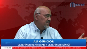 VETERİNER HEKİM GÜNGÖR: "AŞILARIN ZAMANINDA VE DÜZENLİ YAPILMASI GEREKİYOR"