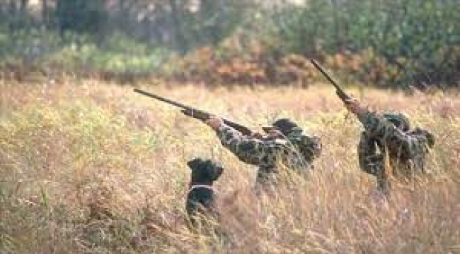 AVLANMA 20 AĞUSTOS'TA BAŞLIYOR